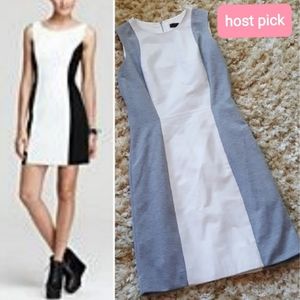 {Aqua} grey ponte white leather panel dress